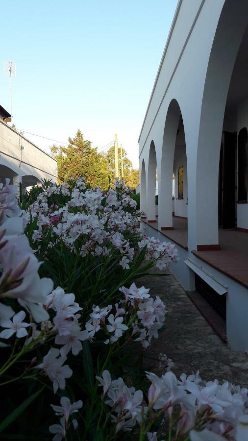 Apartamento Il Lentisco Marina di Mancaversa Exterior foto
